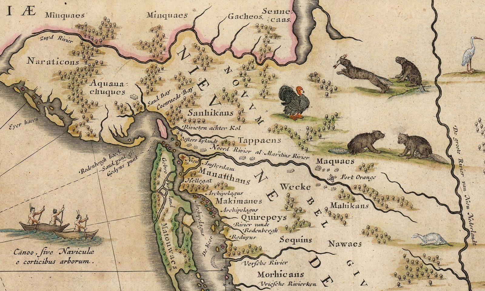 A hand-coloured Dutch map of the Hudson Valley region, lettered NOVUM BELGIUM across the interior. A long river runs from the lower left to the upper right past 'Nieu Amsterdam' and 'Manatthans' at its mouth and 'Fort Orange' far upstream; it is labelled Noord Rivier al. Mauritius Rivier. Tribal names are printed across the country — Minquaes, Sanhikans, Tappaens, Maquaes, Mahikans, Morhicans, Sequins. Beavers, an otter, a wild turkey and a heron are drawn among the hills at the right, and at the lower left three men paddle a bark canoe, labelled in Latin: canoe, or little boats of tree bark.